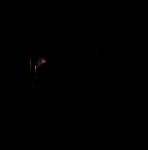 scaturkey force star wars GIF