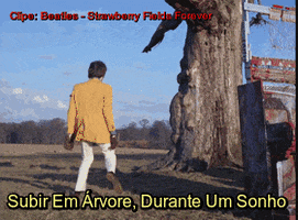humorrir sonho arvore subir ÃƒÂ¡rvore GIF