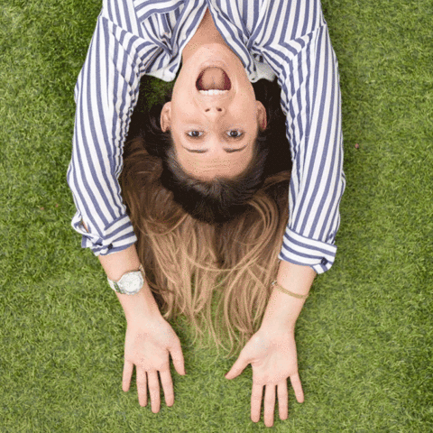 primeit  GIF