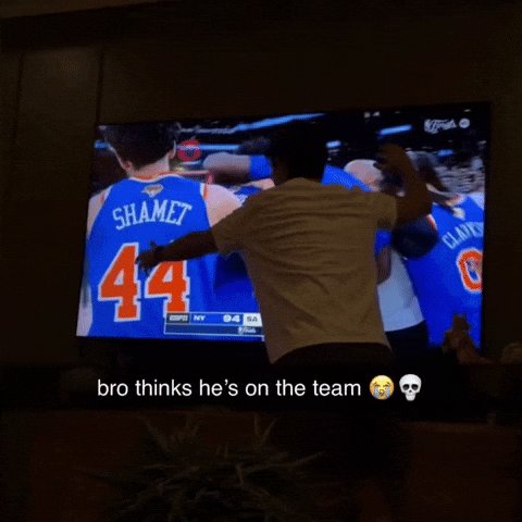 New York Knicks Nba GIF