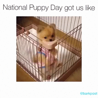 lindadee  GIF