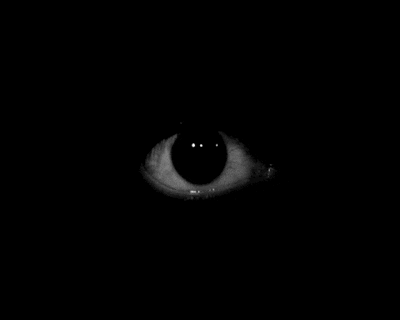 eye eyeball GIF
