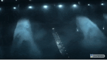 Water GIF