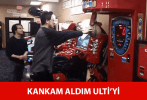 wolfteam wolfteam GIF
