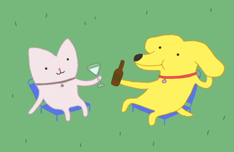 Kreslený gif se sedící kočkou a psem na křeslech, připíjejícími si vínem a pivem s objevujícím se nápisem "Cheers".