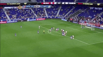 antigua save GIF by New York Red Bulls