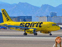 Spirit Airlines Reservations GIF