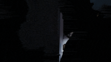 Irlcam GIF