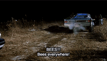 cwlkr bees tommy boy they're ripping my flash off GIF