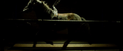 Raw Movie GIF by FocusWorld