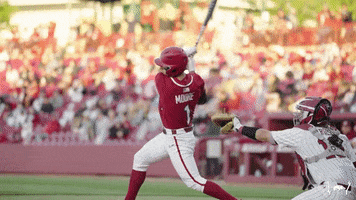 Home Run Baseball GIF by Arkansas Razorbacks