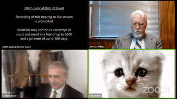 Cat GIF