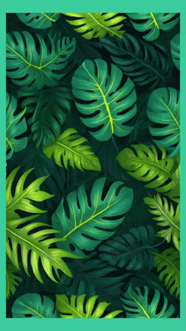 GIF by TeaCosyFolk