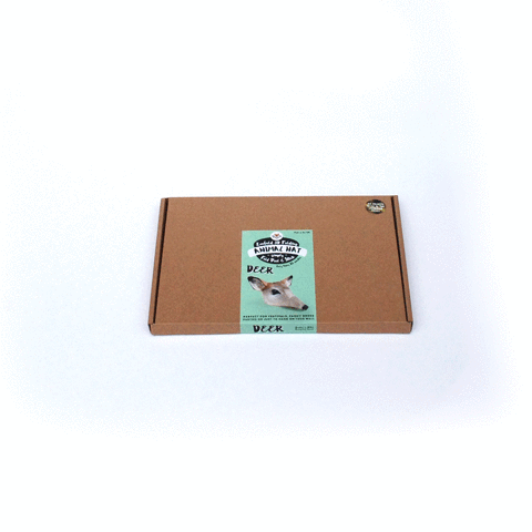 zoofold packaging boxes wrapping zoofold GIF