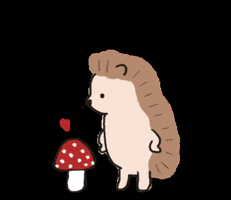 ハリネズミ GIF