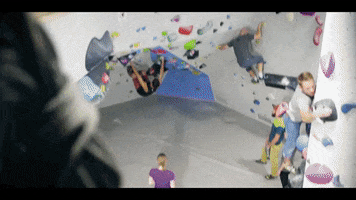 Griffwerk Klettern GIF