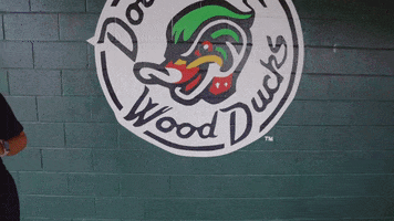 Dewd GIF by Down East Wood Ducks