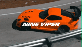 nineviper racing 2029 nineviper petroleumservices GIF