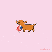Voting American Flag GIF by Stefanie Shank