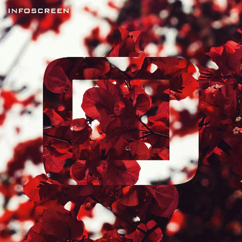 INFOSCREEN Austria GIF