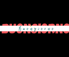 SocialCoach GIF