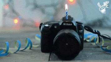 Konradulations birthday photography camera congrats GIF