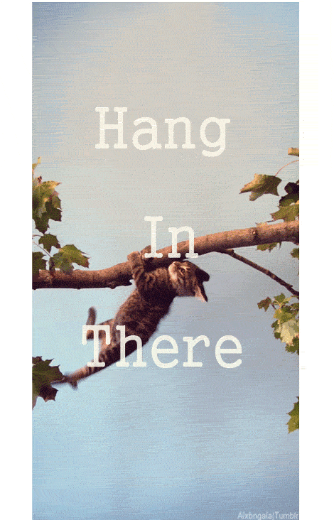 Hang In There GIF - Find & Share on GIPHY