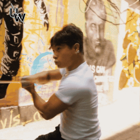 Cobra Kai Ninja GIF by Ultimate Weapons