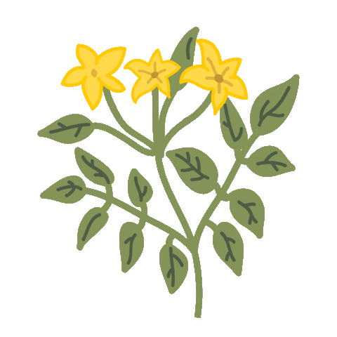 Flowers Sticker