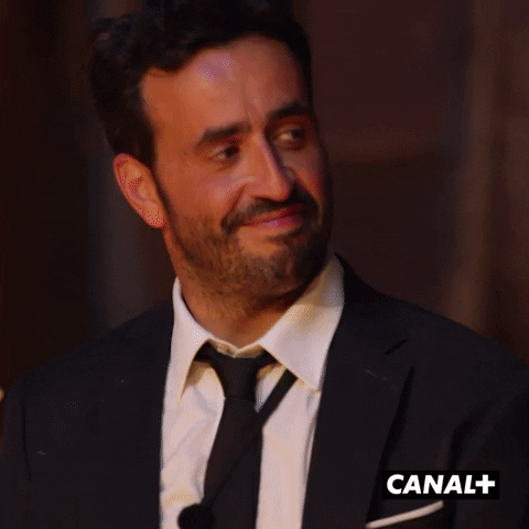 Jonathan Cohen Ok GIF by CANAL+