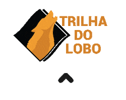 Brazil Swipe Sticker by Nação Empreendedora