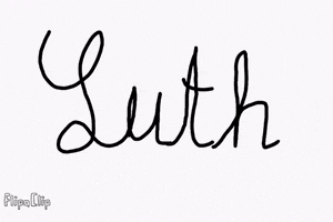 CDU Luthe GIF