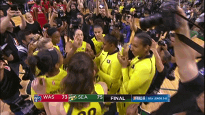 winning lets go GIF by WNBA