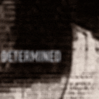 200.gif?cid=fc005b08c58778174ba824b50ed2cbbc49bc32e1a9aff46a&rid=200.gif&ct=g