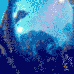 Solutions by Handelsblatt Media Group GIF