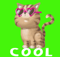 HannahtheSpanner cat cool cool cat cool cats GIF