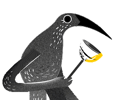 Bird Wink Sticker by picapica