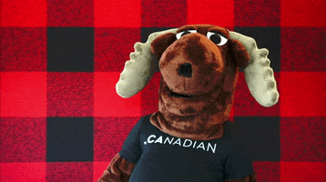 Sarcastic Canadian GIF by choose.ca