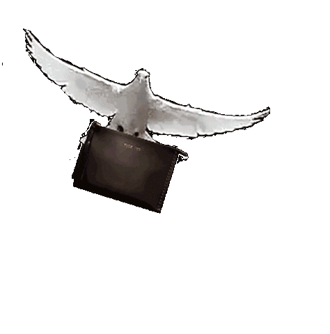 Flying Hand Made Sticker by Wendy Nichol