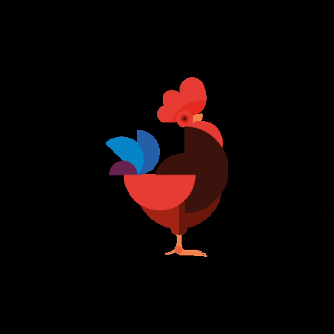 Chicken Kip GIF by Koopeenkoe