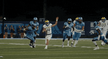 College Sports Football GIF by Delaware Blue Hens