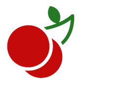 Cherry Cherries Sticker by FROOTco
