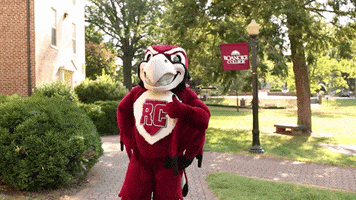 Rooney Thumbs Up GIF by Roanoke College