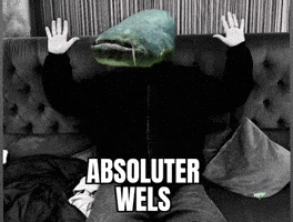 Wels GIF