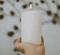 Kaarsje Gifs - Get The Best Gif On Giphy