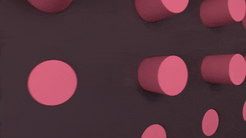 200.gif?cid=fc005b086fc29069c0bcf9699b42e1167a6931feab712c9c&rid=200.gif&ct=g