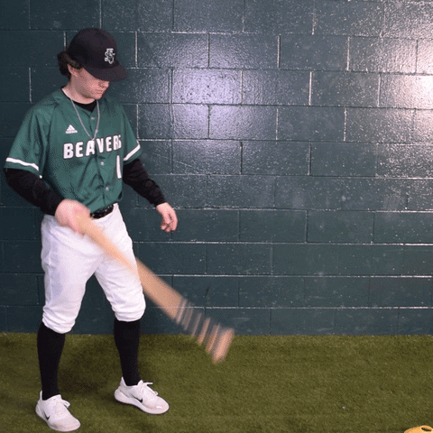 Baseball Bat Flip GIF by Bemidji State Beavers