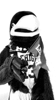 Black And White Mascot GIF by Lehigh University