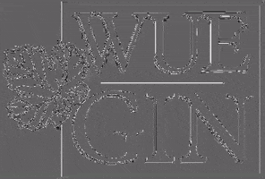 200.gif?cid=fc005b08e7845c0d0d71b57196c626ca844e3325784c49c8&rid=200.gif&ct=g