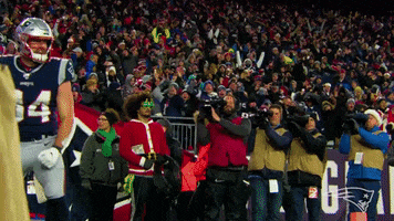 The Lion King Football GIF by New England Patriots